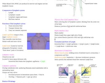Lymphatic System and Immunity- Anatomy and Physiology- Nursing School Prerequisite