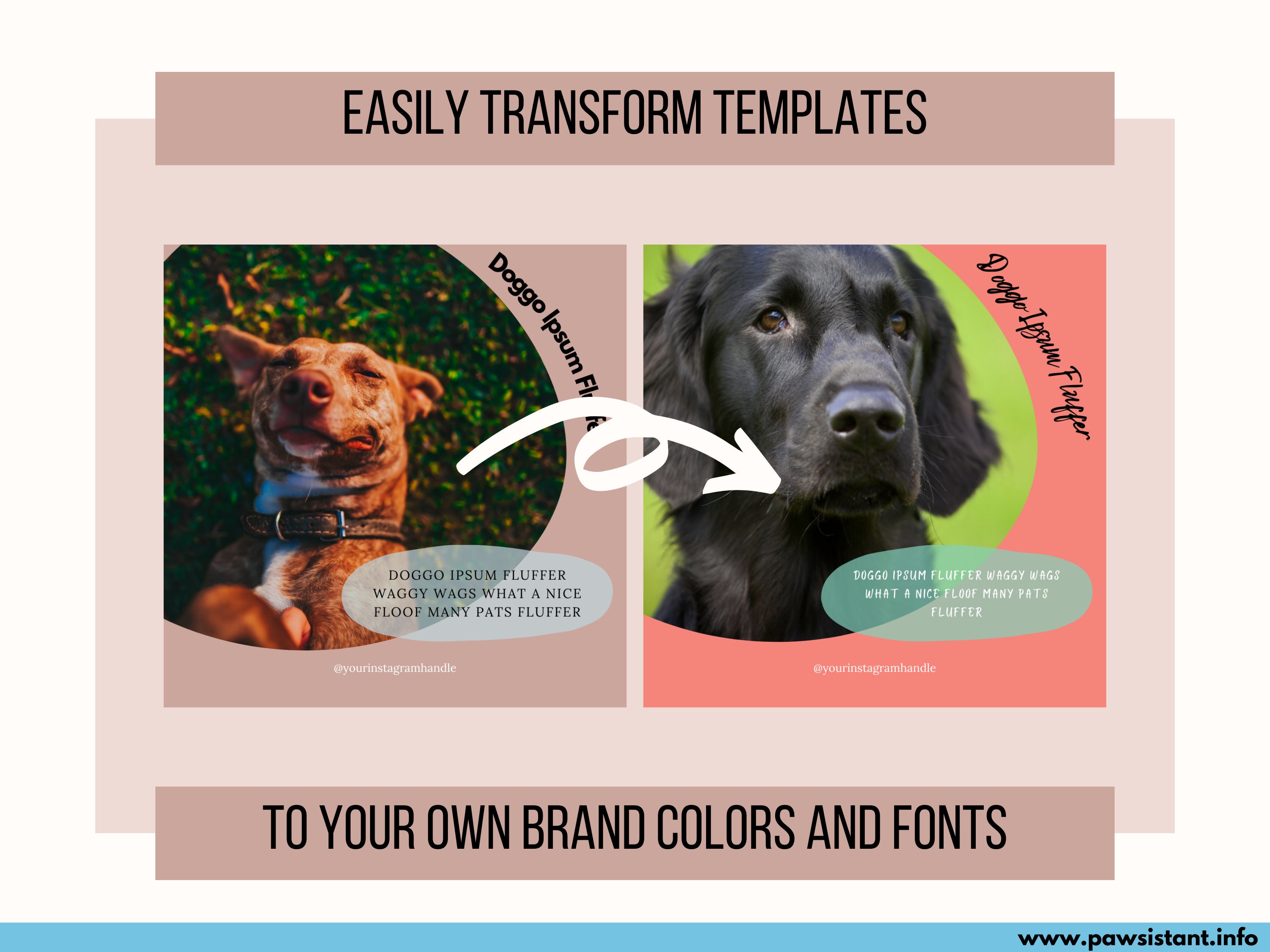 50 Instagram Templates for Dog Business Owner Pet Business | Etsy
