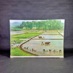 Junta educativa 1968 Cultivo de arroz, cuadro escolar vintage, cuadro de pared vintage, decoración de la habitación, regalo de decoración de la habitación vintage