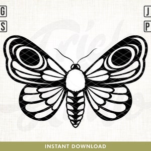 Butterfly Svg, Moth svg, Butterfly Insect svg, Butterfly svg file, Celestial moth svg, boho moth svg, Cricut Silhouette, png, svg, Vector