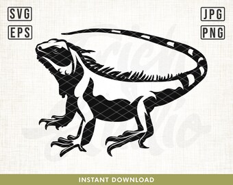 File SVG di iguana, file SVG di lucertola, file SVG di rettile, file SVG di animale, design di maglietta iguana, file di taglio Cricut, silhouette, design digitale, clipart, png