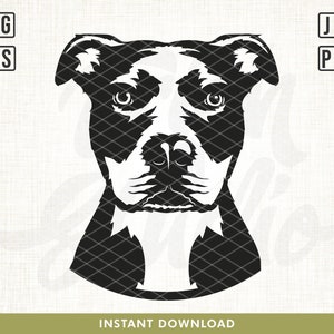 Amerikansk pitbull svg-fil, amerikansk pitbull svg, pitbullterrier vektor, pitbull svg, hundansikte svg, hund svg, klippfiler, png, svg, clipart