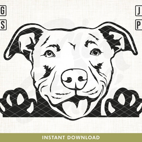 Pitbull Svg American Pit Bull Svg Pitbull Clipart Pitbull - Etsy