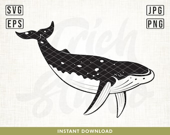 Blue Whale Svg, Whale svg, Whale cut file for Cricut, Orca whale svg, whale clipart, svg for Cricut, Silhouette decal, Ocean svg, png, svg