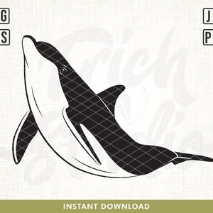 Dolphin SVG Files, Dolphin SVG, Dolphin cut file, Dolphin png, Dolphin printable, Dolphin Clip Art vinyl, Dolphin Cricut, Silhouette, svg