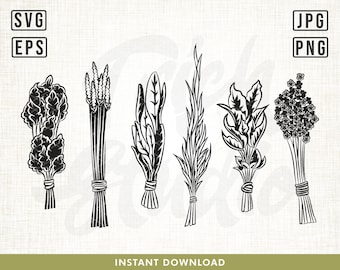 Hierbas SVG, Archivo de hierbas SVG, Jardín SVG, Orgánico SVG, Especias SVG, Cocina de mamá SVG, Cocina SVG, Jardinería, Hierbas y especias SVG, Planta SVG