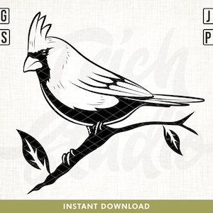 Kardinal Vogel SVG, Kardinal Auf Zweig SVG, Kardinal auf Zweig SVG, Kardinal auf Zweig SVG, Weihnachten Cut Files, Cricut, roter Vogel svg, Png