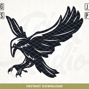 May include: Black silhouette of a raven with wings spread, in flight, with sharp talons.