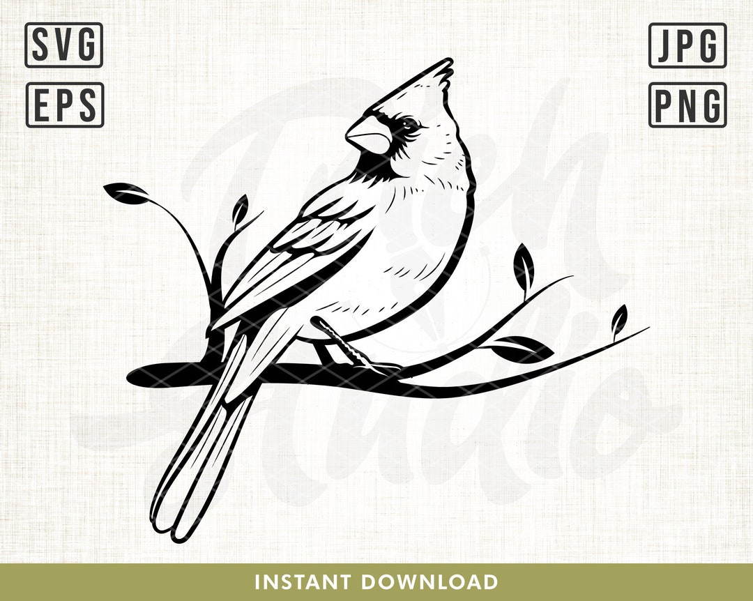 Cardinal Bird Svg, Cardinal Svg, Bird Svg, Memorial Svg, Winter Svg
