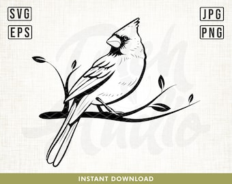 Cardinal Bird Svg, Cardinal Svg, Bird Svg, Memorial Svg, Winter Svg, Cardinal on Branch SVG, Christmas Cut Files, Cricut, Red bird svg, Png