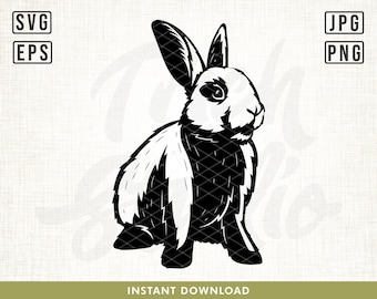Bunny Svg, Cute Bunny svg, Easter Bunny svg, Bunny face svg, Rabbit svg, Svg files for Cricut, Cut File, Cute rabbit svg, easter svg, png