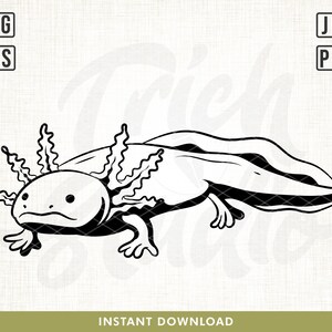 Axolotl svg, Cute Axolotl svg, Axolotl cut file for Cricut Silhouette, Underwater Animal svg, Sea animals svg, Axolotl shirt design svg, png
