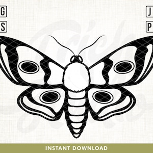 Butterfly Svg, Moth svg, Butterfly Insect svg, Butterfly svg file, Celestial moth svg, boho moth svg, Cricut Silhouette, png, svg, Vector