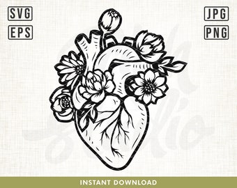 Heart Anatomy svg, Anatomy svg, Floral Heart Svg, Flower Svg, Love Svg, Valentines Day, Flower svg, Heart Svg Files, Heart Cut files, png