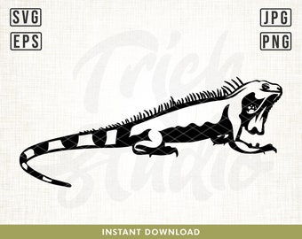 File SVG di iguana, file SVG di lucertola, file SVG di rettile, file SVG di animale, design di maglietta iguana, file di taglio Cricut, silhouette, design digitale, clipart, png