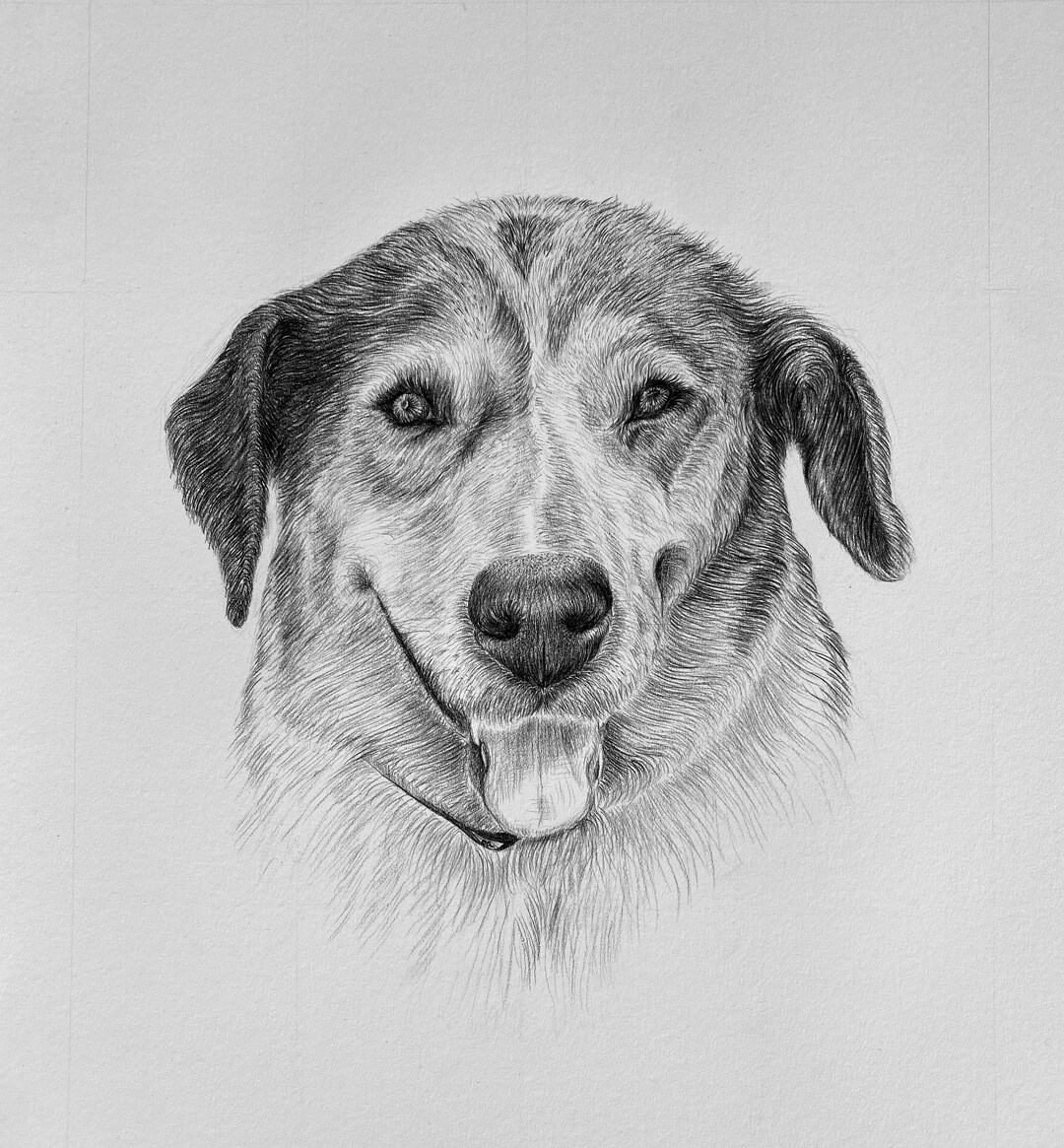 Personalised Dog Portrait Illustration Custom Pet Drawing Gift Hand