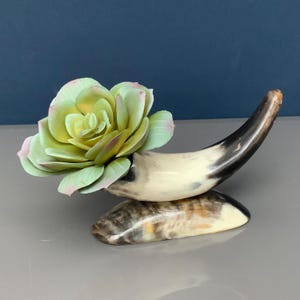 Horn decor lo utiliza como jarrón de flores, Jarrón de cuerno de búfalo (P K 8)