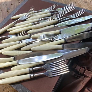 May include: A vintage set of cutlery with ivory handles. The set includes forks and knives. The cutlery is arranged in a brown leather case.