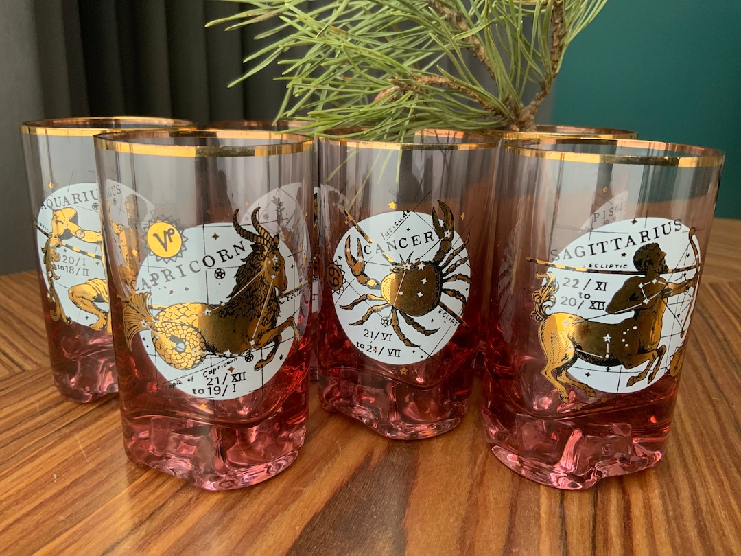 6 Vodka Glasses Zodiac Constellation Astrology Glassware Etsy