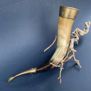 Corne de taureau naturelle : corne artisanale polie avec garniture en métal (16,5 po.)