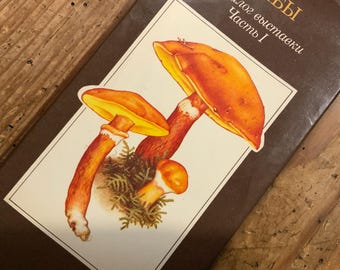 Mushroom Handbook: Illustrated Botanical Guide, Hardcover
