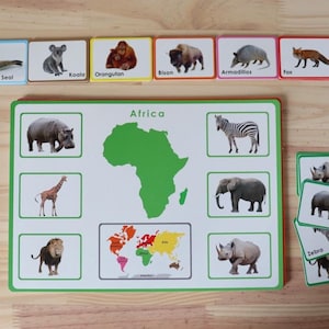 Montessori Tiere und Kontinente Karten/Montessori Karte/ Tiere und ihre Kontinente Sortierkarten