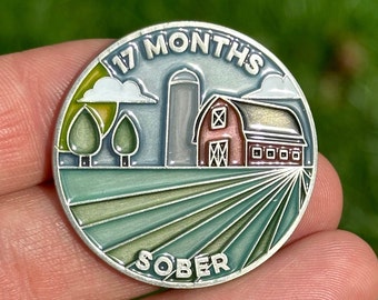 Seventeen Months Sober sobriety coin