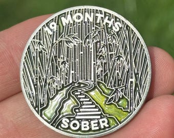 19 Months Sober sobriety coin