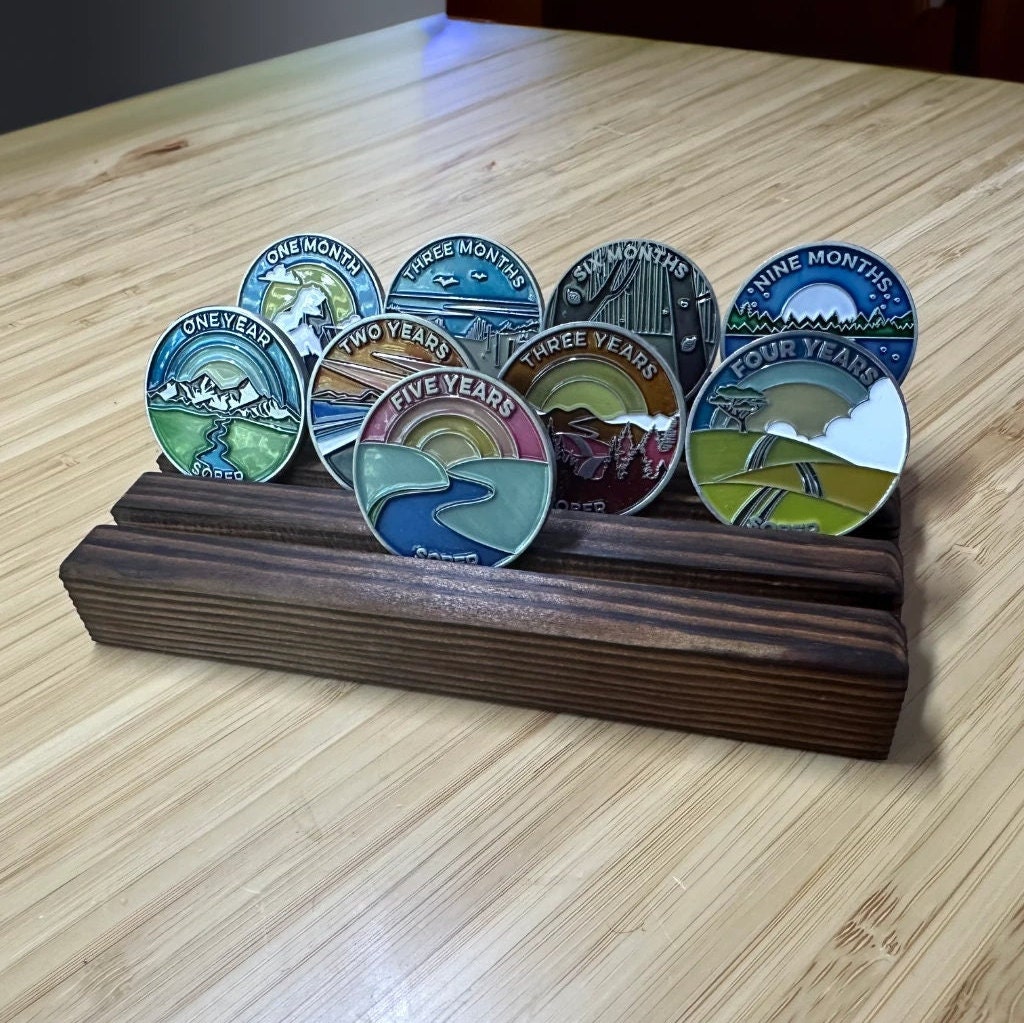 AA Chip Holder, AA Coin Holder, Sobriety Gift, Recovery Gift, Gift for an  Alcoholic, One Day at A Time, Recovery Medallion, AA Chip Display 