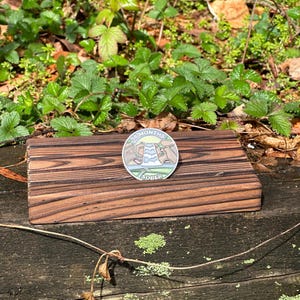 May include: A silver enamel pin with a green, yellow, and blue design. The pin features a waterfall and the text "18 Months Sober".