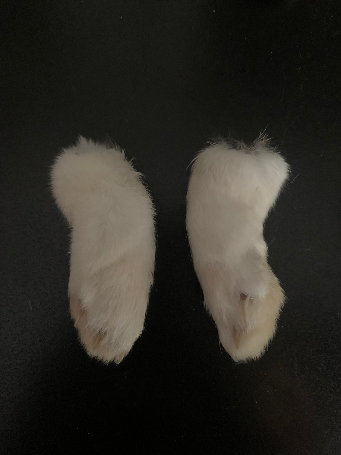 Matched White Rabbit Paw Set XL Etsy