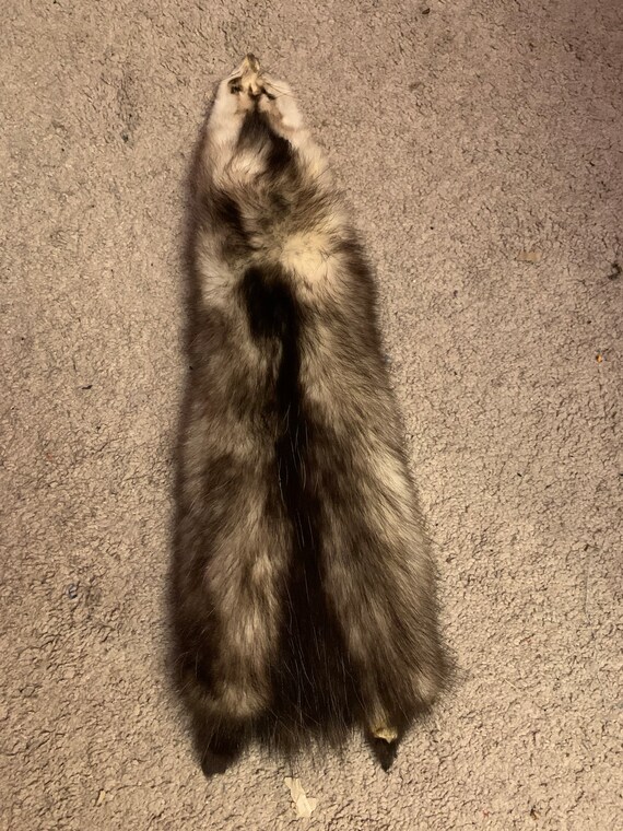 Opossum Pelts Etsy