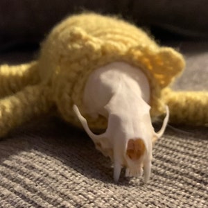 Crochet Creature with Mink Skull image 1