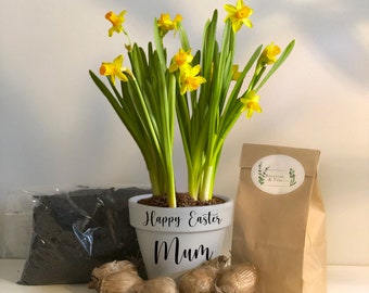 DIY Grow Your Own Daffodil Planting Kit - Personalisation - Teacher- Mum - Nan - Grandma - Dad- Grandad- Friend