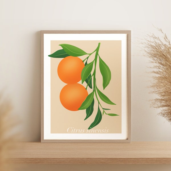 Art mural, Affiche cuisine, Illustration fruit, Oranges, Impression 8x10 5x7, décoration murale fruits, affiche jardinage