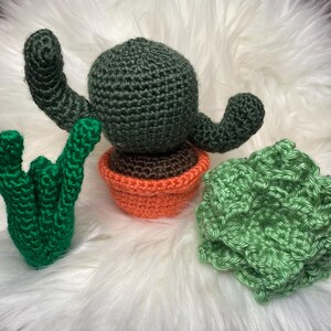 Plantes succulentes interchangeables - Modèle au crochet