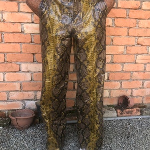 Zara Woman Phyton Pants