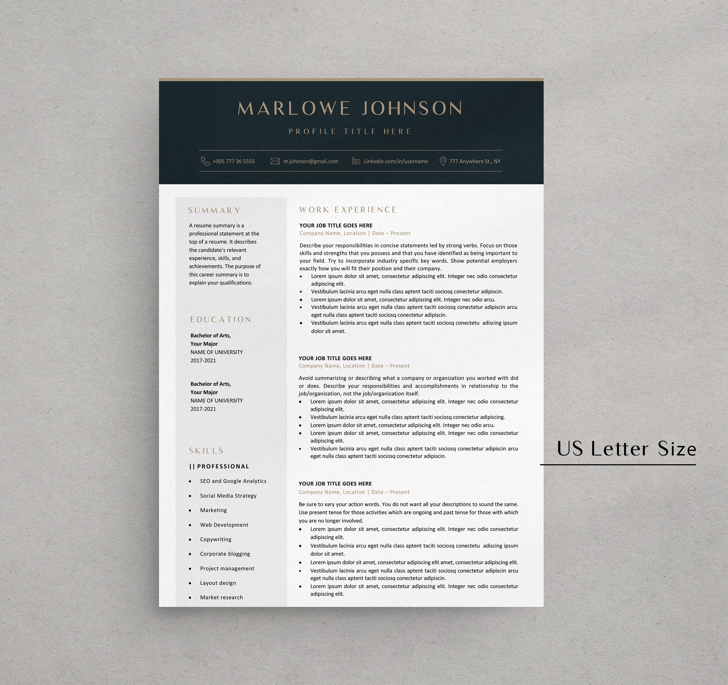 Executive Resume Template Word - Modern CV Template - Professional ...