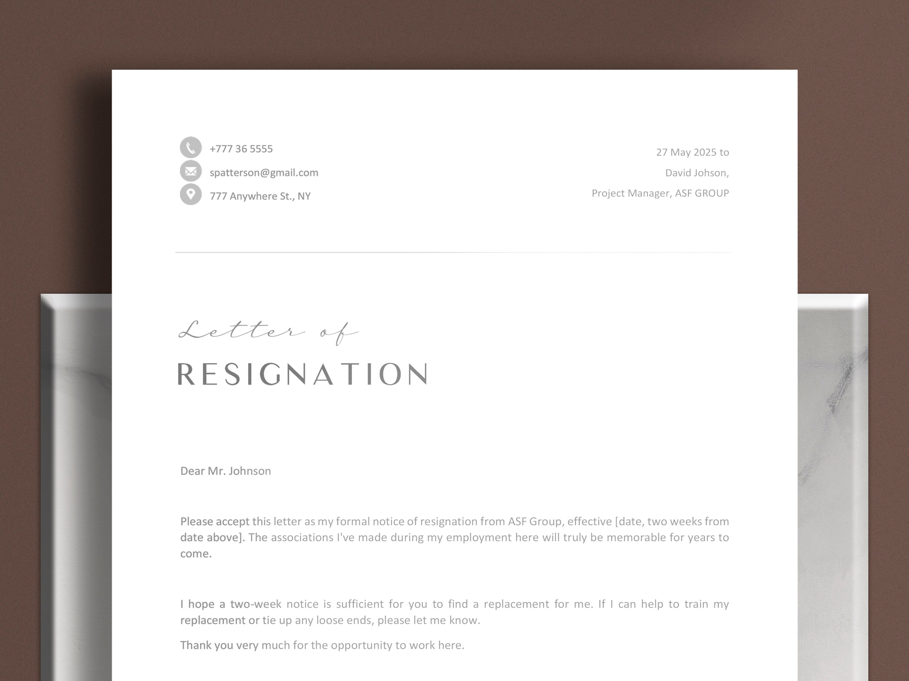 Professional Resignation Letter Template Word Google Docs Etsy