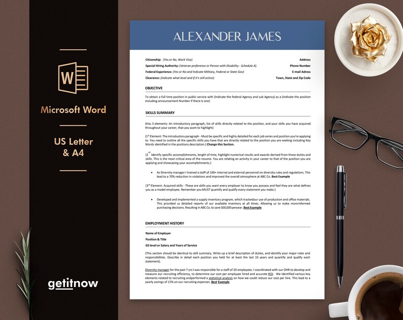 May include: A resume template in Microsoft Word format for US Letter and A4 paper sizes. The template includes sections for skills summary, employment history, and objective. The template is designed to help job seekers create a professional and effective resume.