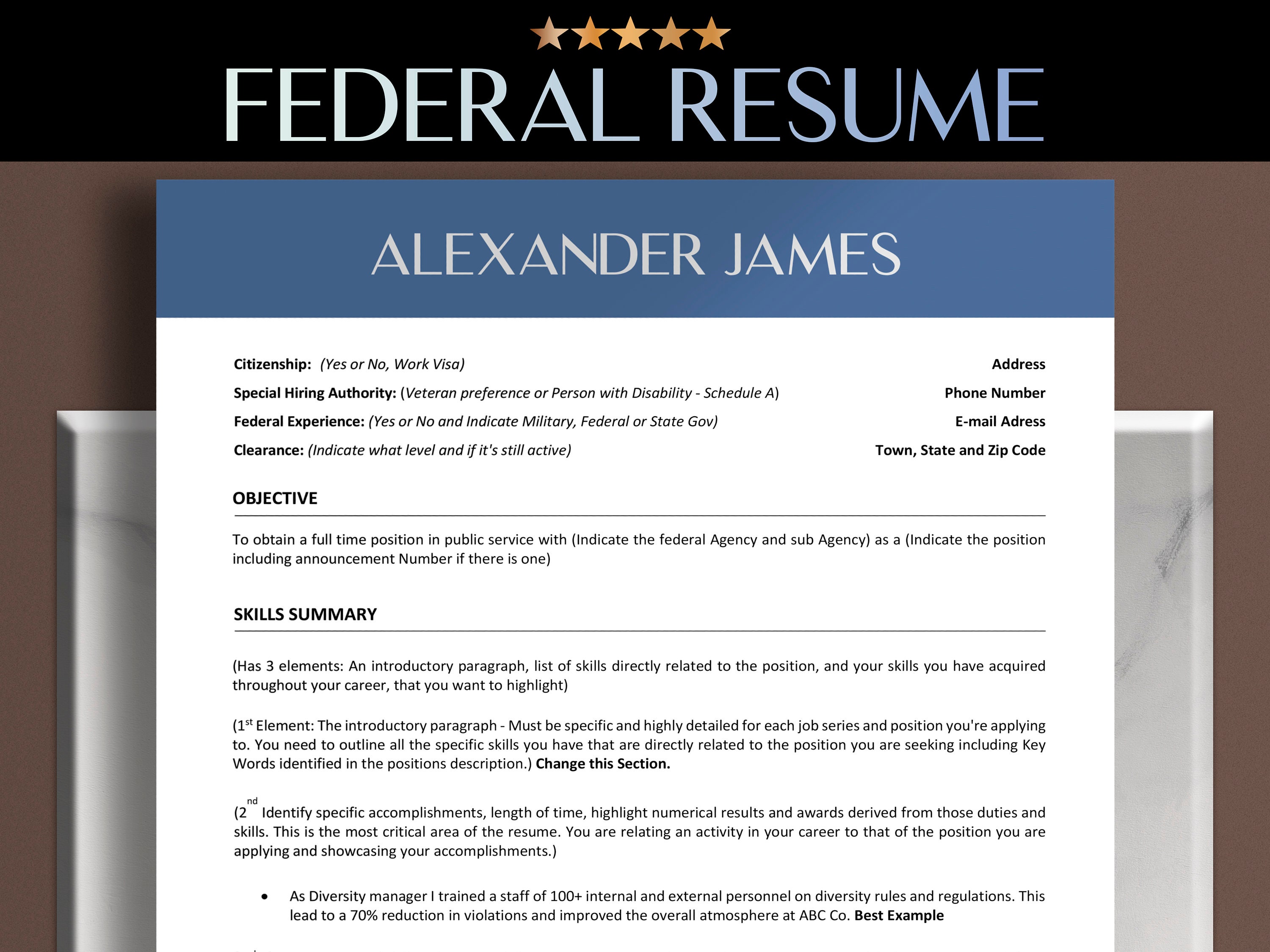 Federal Resume Templates Word Resume Federal Government Etsy
