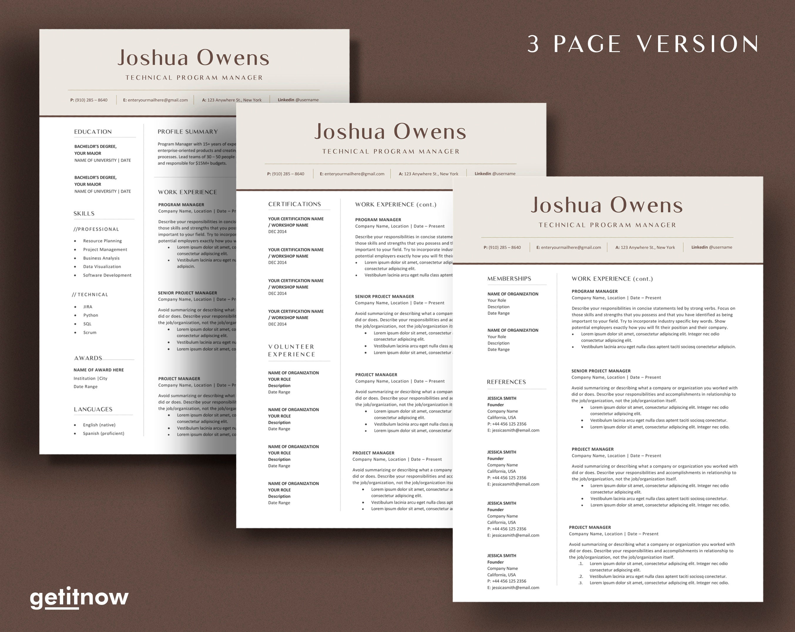 Resume Template Google Docs Modern Executive Resume Template - Etsy