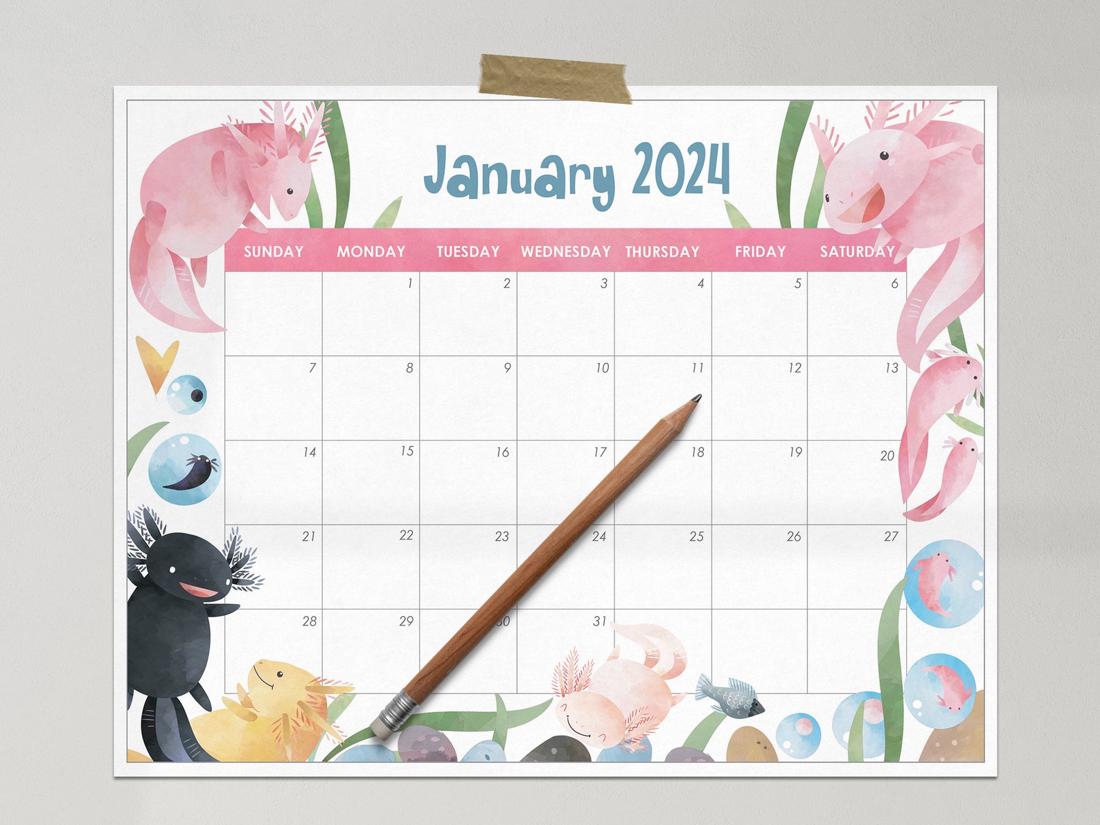 Axolotl Calendar 2024 Monthly Calendar Kids Calendar Etsy