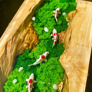 May include: A wooden art piece featuring a miniature koi pond. The pond has a vibrant green moss base with white and red koi fish. The wooden frame has a natural, light brown color.