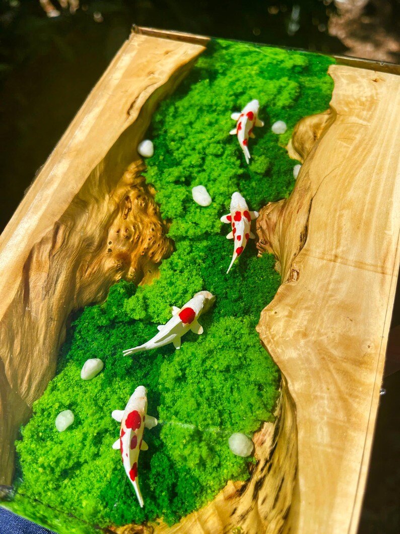 May include: A wooden art piece featuring a miniature koi pond. The pond has a vibrant green moss base with white and red koi fish. The wooden frame has a natural, light brown color.