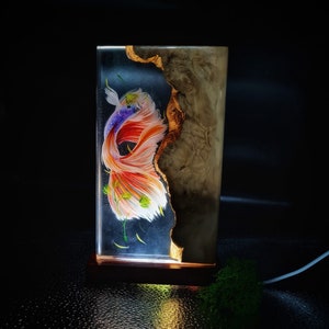 May include: A rectangular lamp featuring a vibrant, hand-painted betta fish encased in clear resin. The fish has red, orange, and white fins. The right side of the lamp is natural wood. The lamp is lit from within, creating a warm glow.