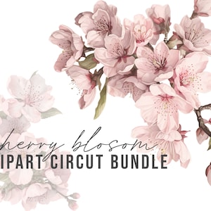 Watercolor Floral Blossoms - Cherry Blossoms - Digital Clipart - Floral Frames - Floral Wreaths - Watercolor Clipart - Files For Circut