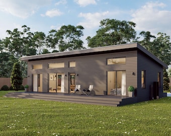 Modern Cabin House, 20’ x 44’, 880 Sq Ft, Tiny House, Architectural Plans, Blueprint