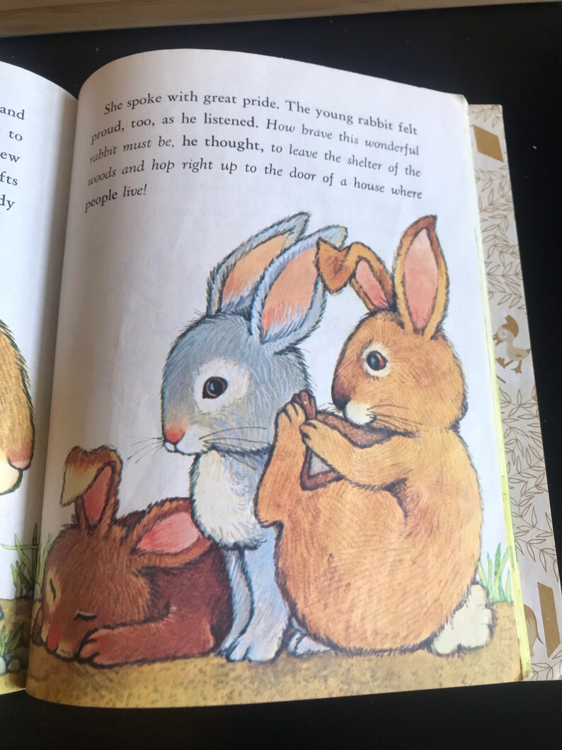 The Rabbit's Adventure, 1977, Little Golden Book, No.471-31, Vintage ...