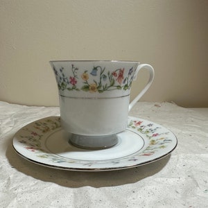 Vintage Floral Tea Cup and Saucer Porcelain Fine China